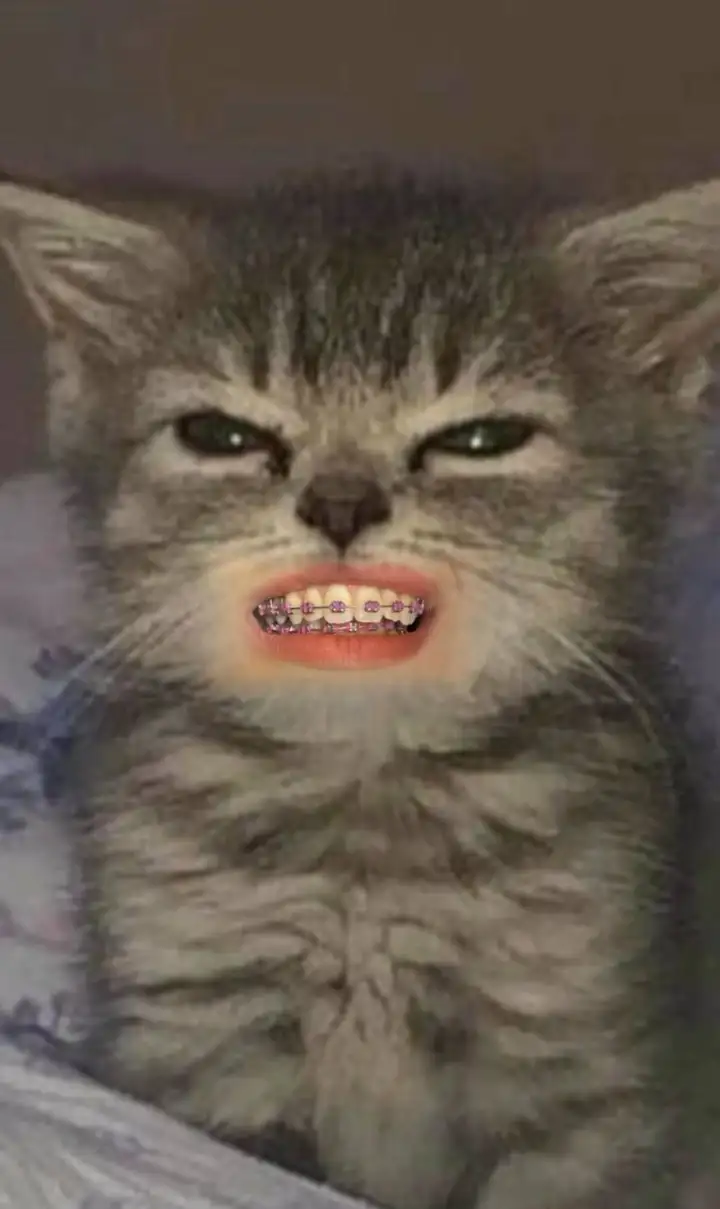 Зубастый котик 3.