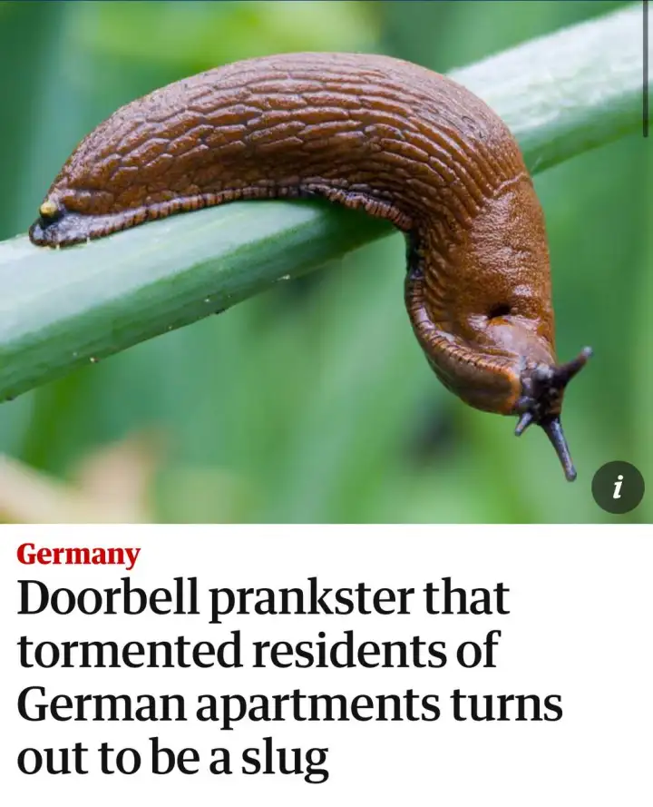 Оригинал статьи в The Guardian.