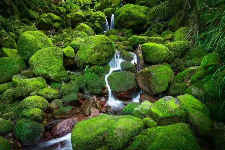 Новая Зеландия.