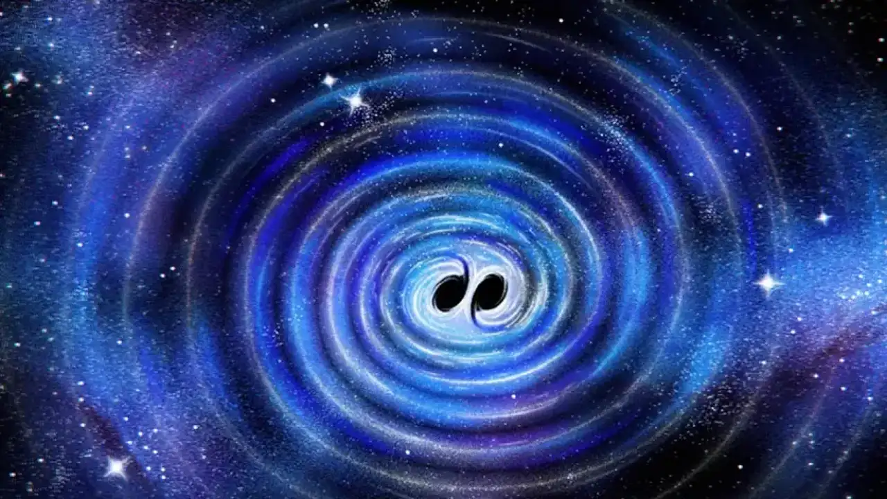 © Maggie Chiang / Simons Foundation