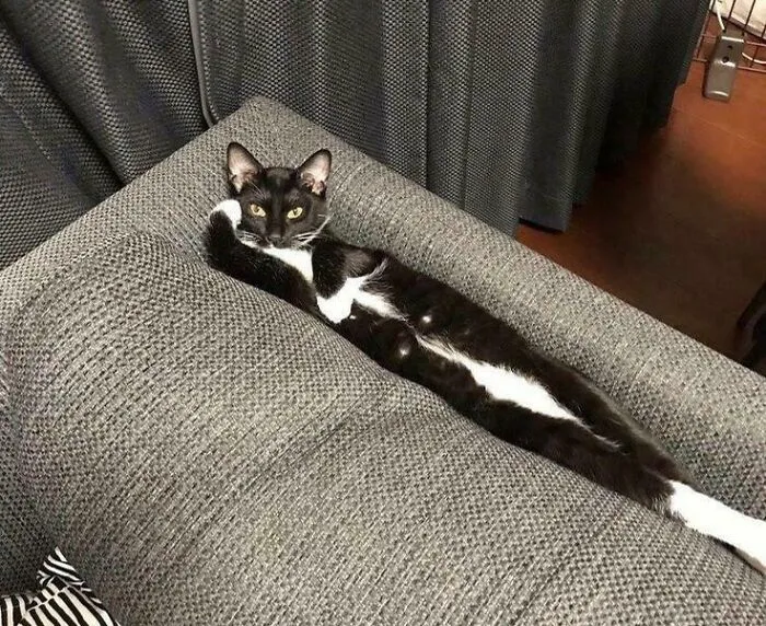 «Ну давай, расскажи мне, что у тебя случилось».