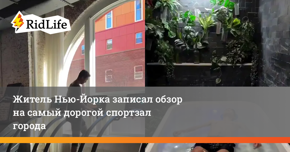 �������� Golden Dragon �������: ����.