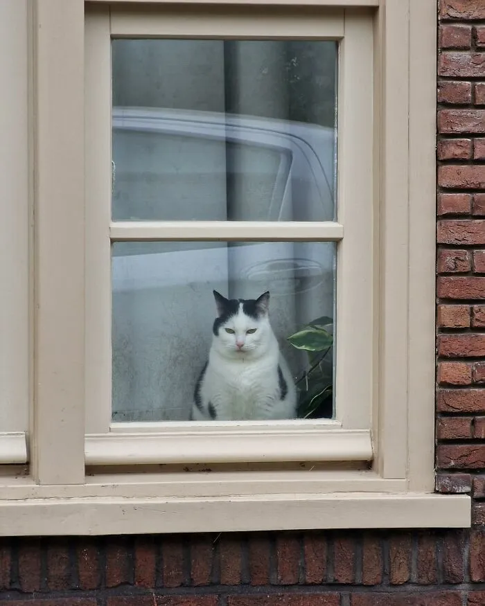 «Кожаные явились».