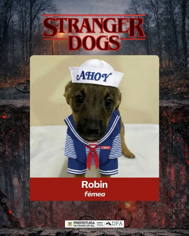 Робин. Робин.