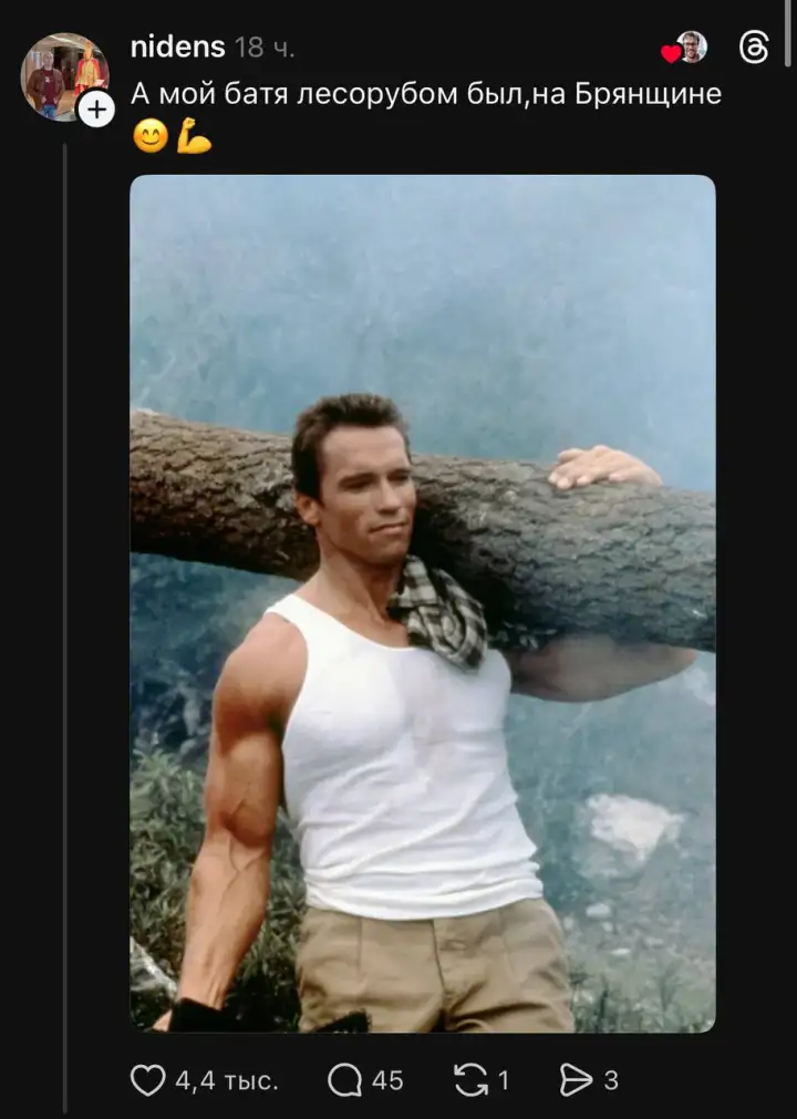 Арнольд Шварценеггер также в роли бати. Арнольд Шварценеггер также в роли бати.