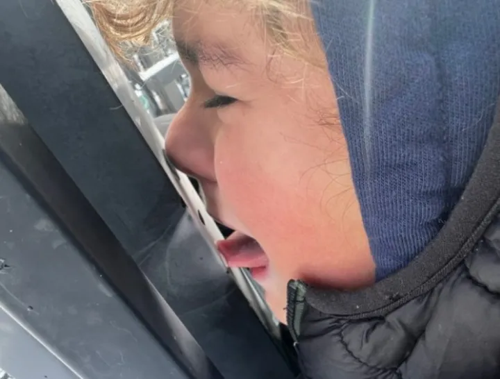 «Ну теперь мой сын знает, что облизывать металл на морозе — не лучшая идея».