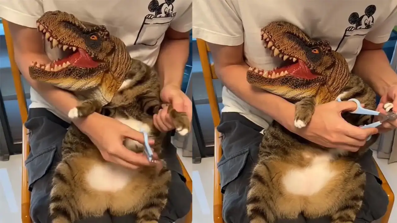 Кот в маске динозавра.