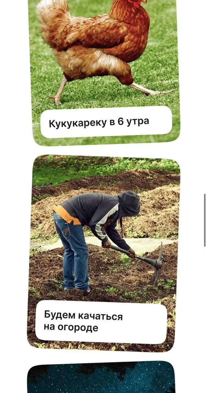 Организаторы креативно подошли к описанию того, что ждет зумеров в туре. Организаторы креативно подошли к описанию того, что ждет зумеров в туре.