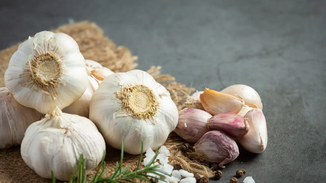 Хороший уродай чеснока