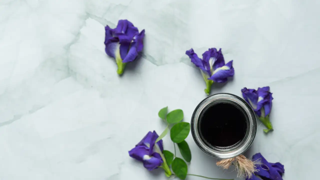 Чашка с цикорием