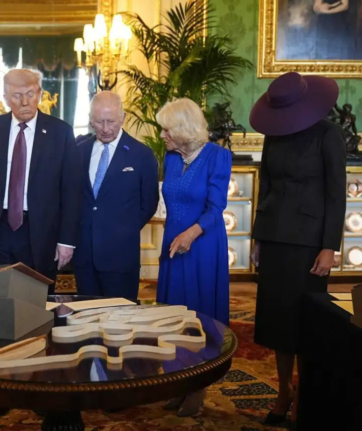 Оригинальная фотография образа Мелании Трамп на встрече с королем Великобритании Карлом III.