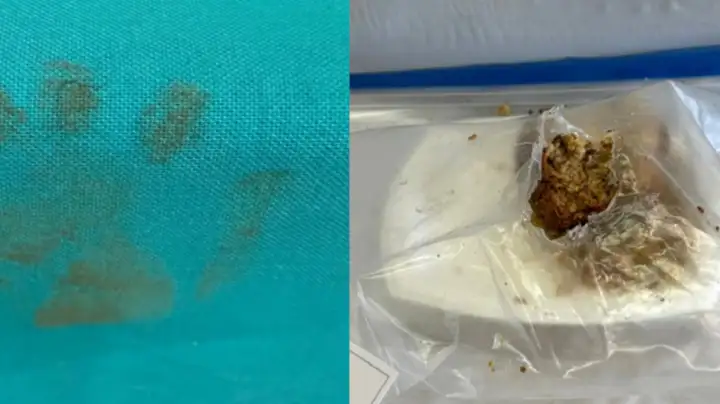 Необычные преступления шокируют полицию Канады.