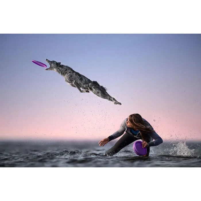 Портрет «летящего» пса от итальянского фотографа Клаудио Пикколи.