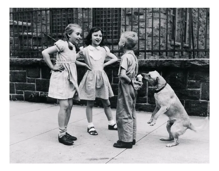 Собака ест мороженое, спрятанное за спиной мальчика. Нью-Йорк, 1949 год.