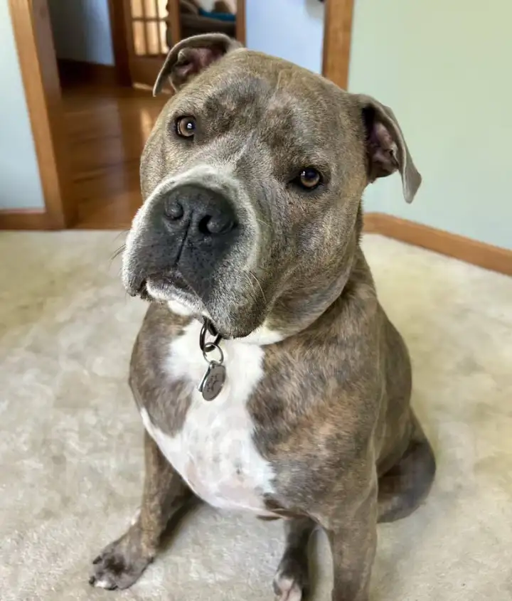 Тот самый воспитанный хороший мальчик. Тот самый воспитанный хороший мальчик.