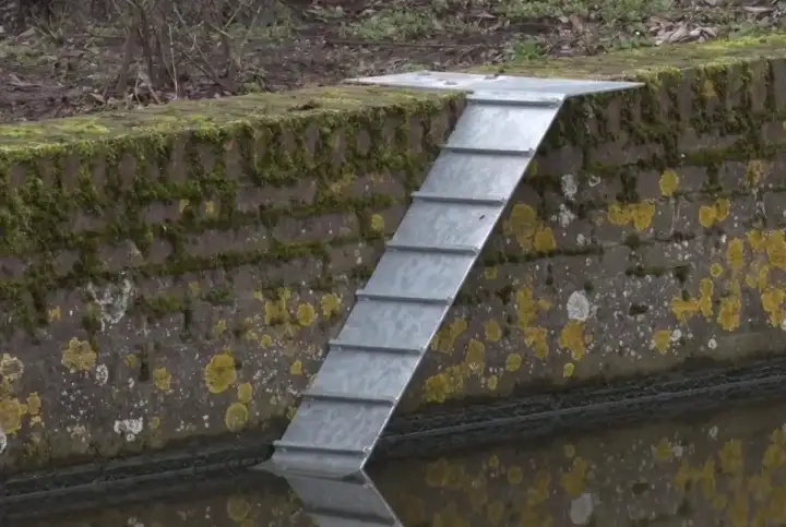 Эти лестницы позволят случайно упавшим в воду котам и ежам выбраться на сушу.