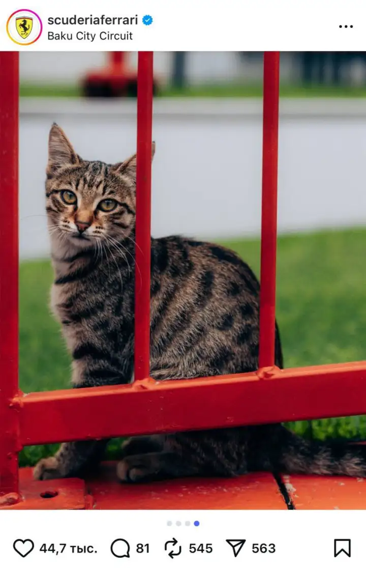 Furrari стал неофициальным символом Формулы-1 в Азербайджане.