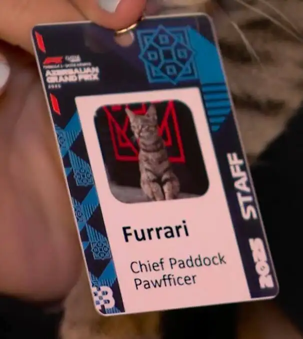 И выдали соответствующий бейдж.