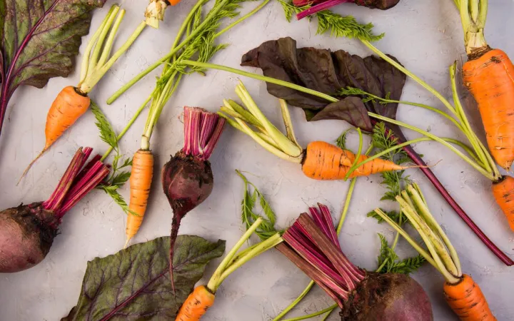 Свекла и морковь.