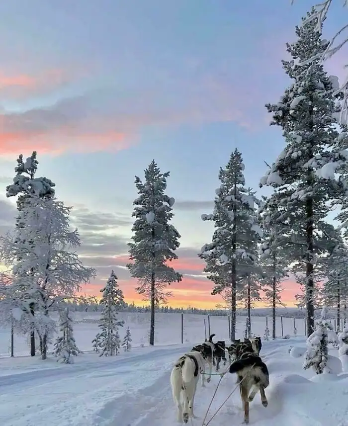 Утреннее путешествие.