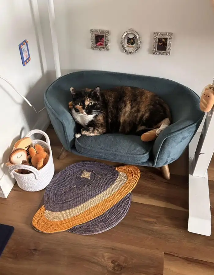 Уголок для пушистого члена семьи. Уголок для пушистого члена семьи.