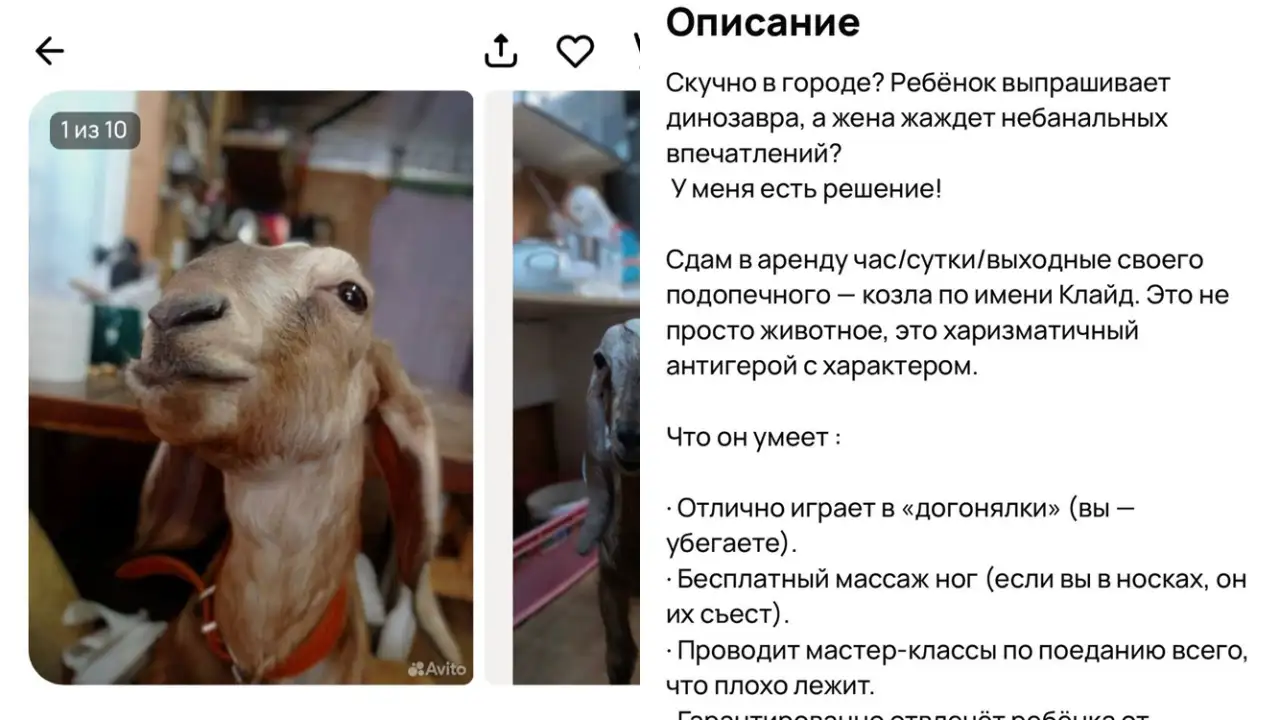 Скриншоты объявления.